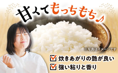 【食味最高ランク特A 2年連続受賞】【減農薬米】滋賀県湖北産 湖北のコシヒカリ 白米18kg　滋賀県長浜市/株式会社エース物産[AQAK006]