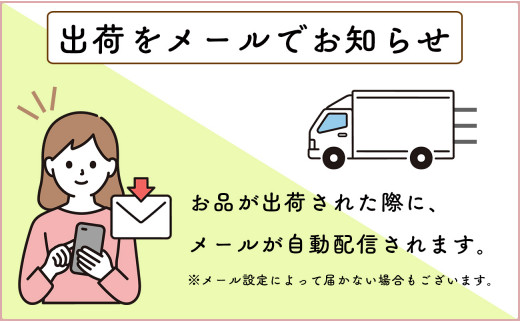 毎月決まった時に届く！花金 定期便 佐賀牛3～4人前をお届