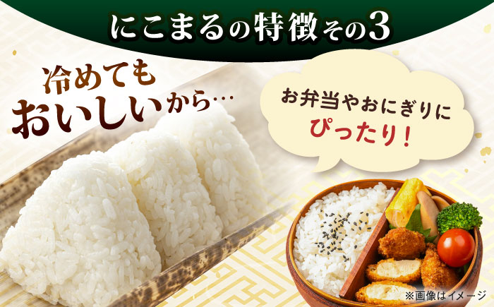 【全3回定期便】 にこまる 玄米品質1等米 白米 10kg 糸島市産 糸島市 / 糸島の恵み コメ こめ ご飯 [AGR011]