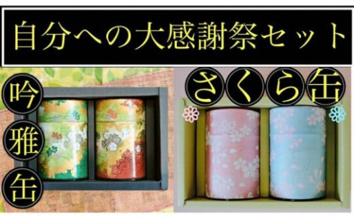 学生さん達と考えた 深蒸し茶 ギフトセット！ 絵柄が選べる 100g缶 （100g×2缶 計200g）！ 自分への大感謝祭 セット （吟雅缶・さくら缶） お茶 茶缶 緑茶 深蒸し茶 静岡緑茶 日本茶
