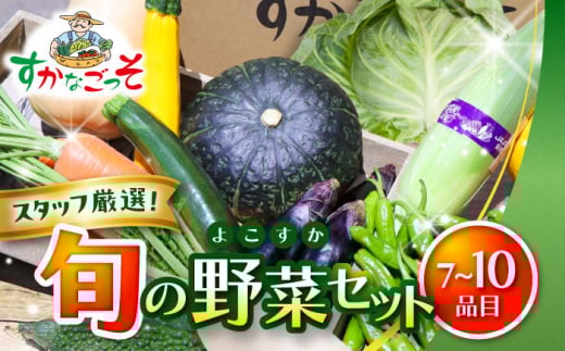 よこすか野菜セット すかなボックス / 野菜 やさい 野菜ボックス 野菜セット 野菜詰め合わせ 産地直送 野菜BOX おまかせ 食べ比べ 新鮮 季節 お楽しみ 【JAよこすか葉山】 [ASCB001]