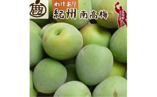 青梅 訳あり 南高梅 2kg+250g（痛み補償分） / 梅 梅ジュース 梅酒 梅干し 家庭用 和歌山 ※5月~6月発送予定 ※北海道・沖縄・離島への配送不可【ikd508-c-2H】