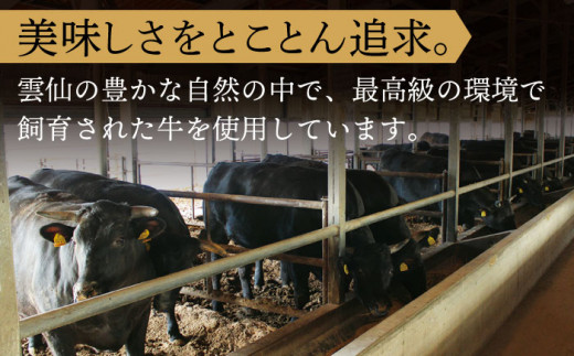 【全6回定期便】長崎和牛 ステーキ セット （特上ロース・サーロイン）  総計6.6kg （1.1kg/回）【株式会社 OGAWA】 [QBI019] 牛肉 サーロインステーキ バーベキュー 38万2