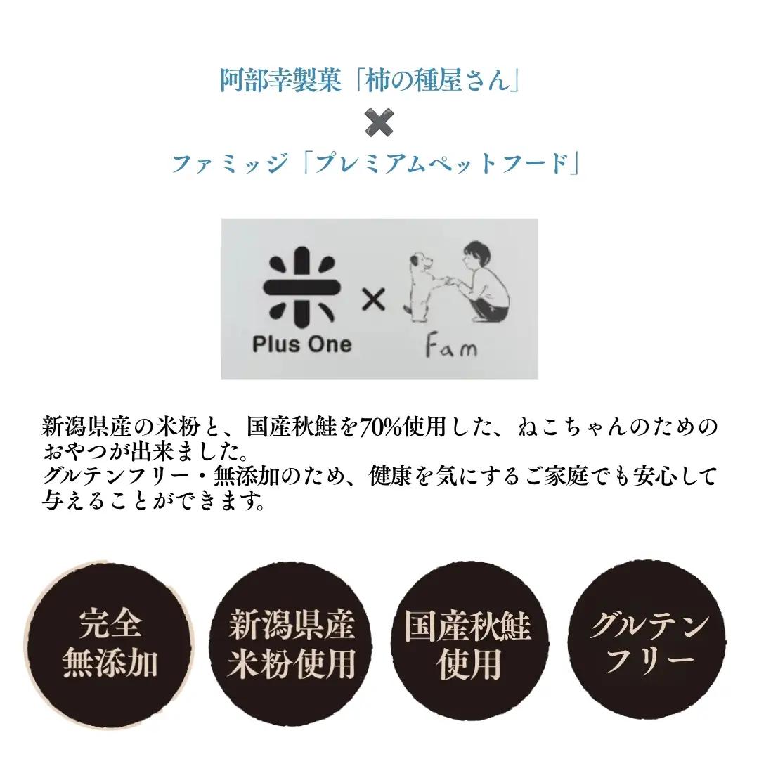 柿の種屋さんのねこちゃんのおやつ お米と鮭のプレミアムスナック 10個セット 阿部幸製菓