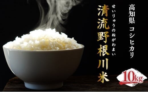 清流野根川米 （ コシヒカリ ）10kg！ 令和7年度産 東洋町産 国産 白米 精米 米 コメ こめ もっちり 四国 お取り寄せ 家庭用 自宅用 贈答用 贈り物 ギフト 送料無料 U105