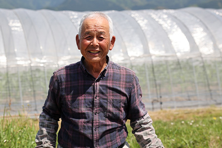 【 令和7年産 新米 先行予約 】 多良木町産 ぴかまる 5kg （ 令和7年10月下旬より順次発送 ）新米 農家が食べる お米 5キロ 甘み 米 美味しい米 米 白米 精米 熊本 065-0640