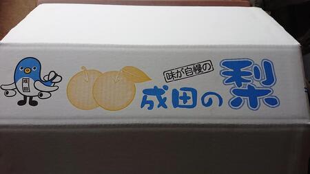 梨 3kg 幸水または豊水 季節のフルーツ 果物 梨