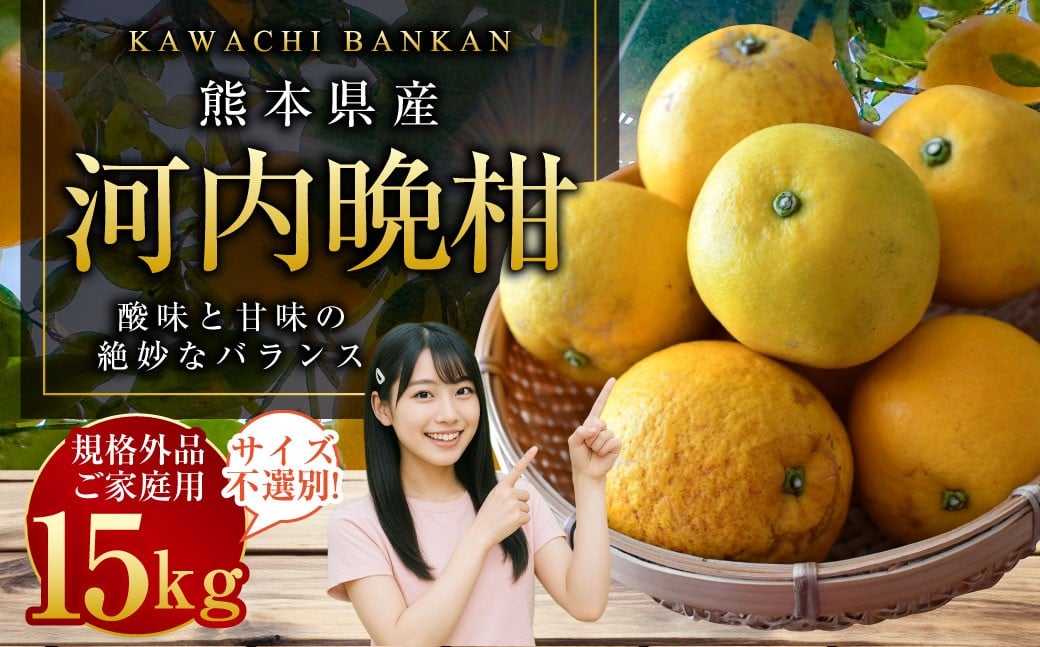 
            【規格外品】河内晩柑 ご家庭用 15kg  サイズ不選別【2026年3月下旬～6月下旬発送予定】 晩柑 柑橘 晩柑 くだもの 果物 フルーツ
          