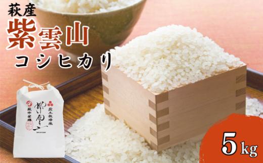 コシヒカリ 5kg 紫雲山 野菜ソムリエ プロselect 萩のお米 萩市 紫福産 米 お米 白米　｜HG001019