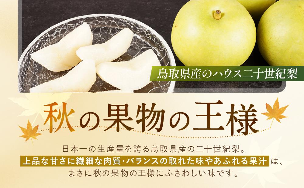 【先行予約】数量限定 鳥取県産梨 ハウス二十世紀梨 2kg(5~6玉)