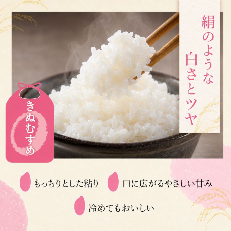 【令和8年産】 米 近江米 白米 5kg 先行予約 新米 きぬむすめ 精米 こめ コメ お米 ご飯 キヌムスメ 5キロ 度産 令和八年産 滋賀県 豊郷町