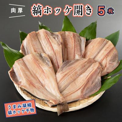 ふるさと納税 大洗町 縞ホッケ開き5枚 時短 AF038