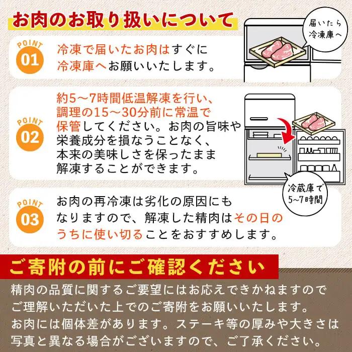 鹿児島県産 若鶏 むね (合計2kg・約500g×4P) 鶏肉 セット ムネ【南九フーズ】A1074-v01