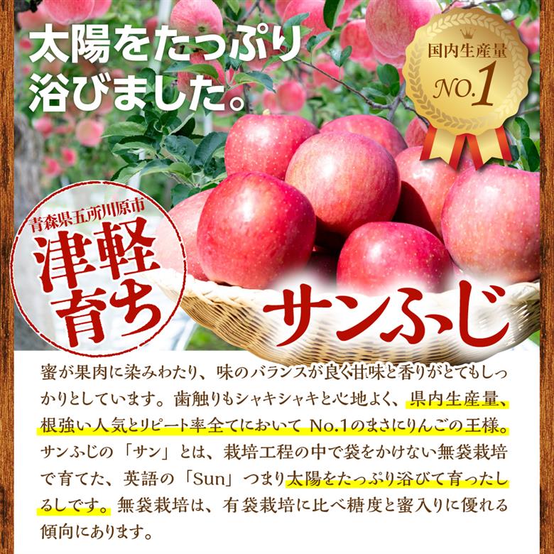 【2026年11月中旬発送】りんご　青森 サンふじ 3kg 程度 《 訳あり 》 農家直送 サンフジ 青森県五所川原市 傷 キズ ワケアリ 林檎 リンゴ apple