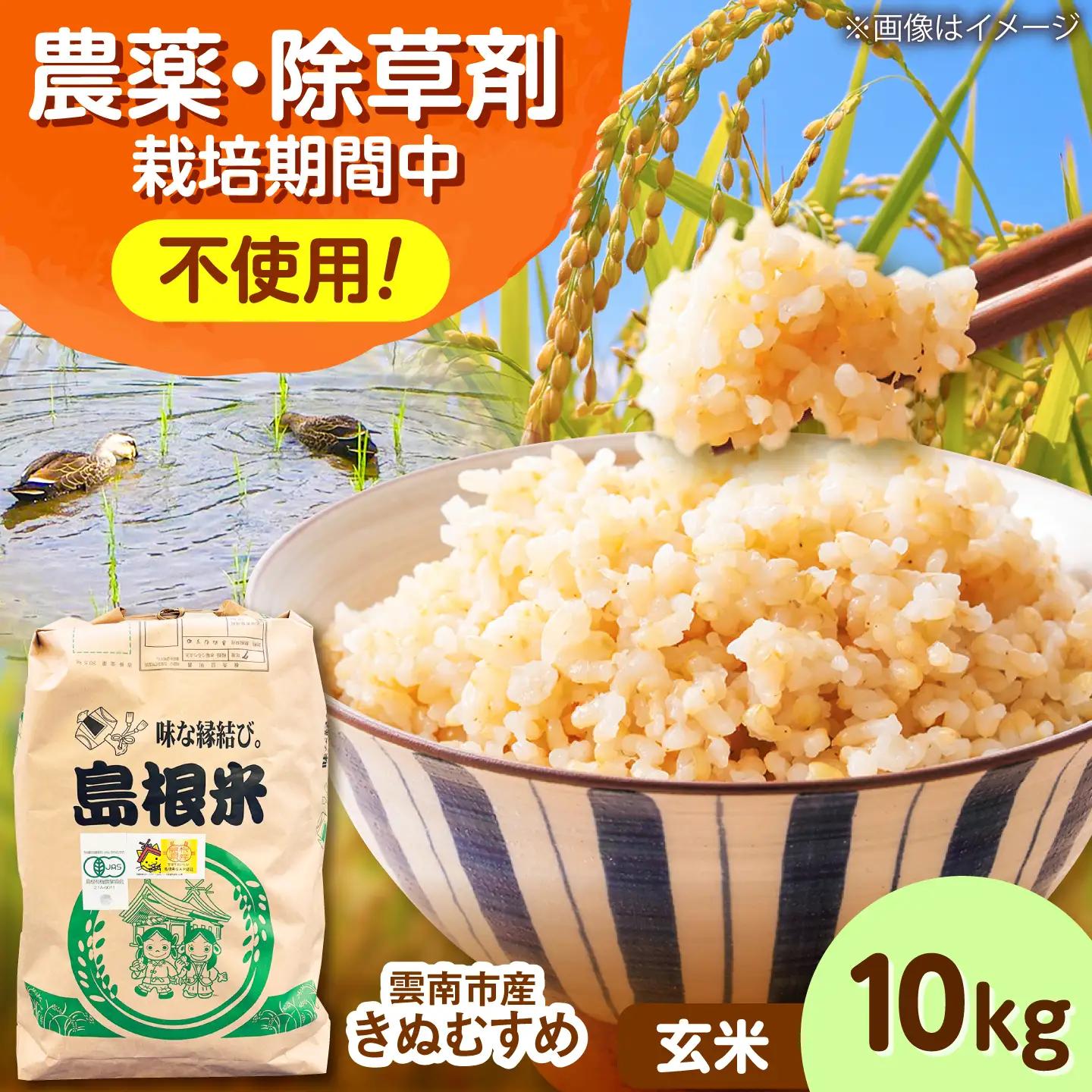 【有機JAS認証】有機栽培米きぬむすめ 10kg 令和7年産 精米 白米 島根県雲南市/佐藤ファーム[AIEO007]