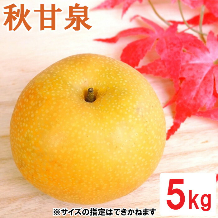 【ふるさと納税】鳥取県産 秋甘泉梨　5kg　OK05