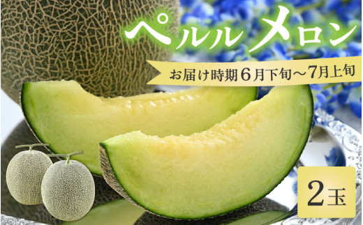 【先行予約】ペルルメロン 2玉（約2kg以上×2玉）青肉品種 高級メロン！ ／ マスクメロン 大玉 果物 フルーツ ギフト 農家直送 ※2027年6月下旬以降順次発送 [aw065-a016]