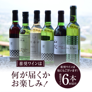 勝沼ぶどうの丘推奨ワイン360ｍｌ６本セット　C-651【甲州 ワイン お酒 白ワイン 赤ワイン 甲州ワイン 日本ワイン お酒 人気 推奨 おまかせ ワイン ハーフボトル ワイン パーティー ワイン 