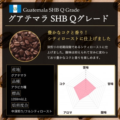 コーヒー豆 スペシャリティ Qグレード認証豆 グアテマラ SHB 中深煎り 500g【1619511】