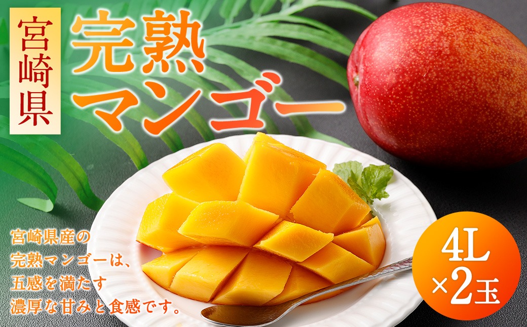 ＜宮崎県 完熟マンゴー4L×2玉 1kg＞2025年4月上旬～7月末迄に順次出荷【c1163_hi_x1】