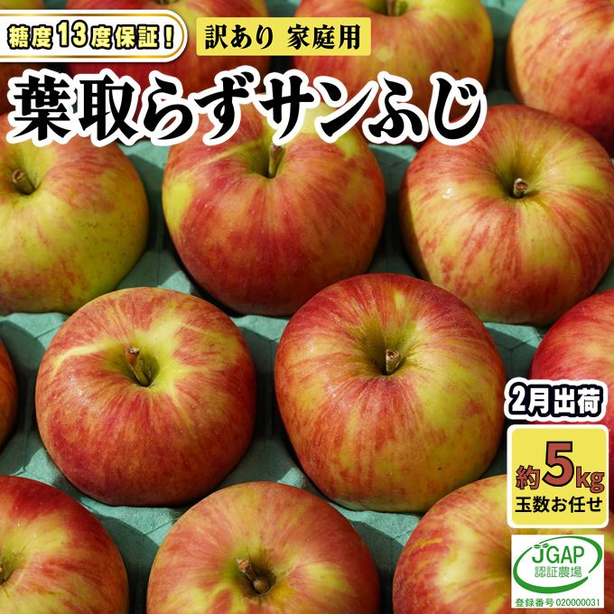【ふるさと納税】2月発送【 糖度保証 】家庭用 葉取らず サンふじ 約 5kg【 訳あり 】鶴翔りんごGAP部会 青森県産 津軽産 リンゴ 林檎 果物 フルーツ デザート 甘味　お届け：2026年2月1日～2026年2月25日