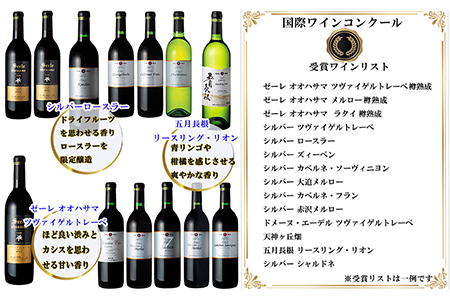 国際ワインコンクール受賞ワイン厳選赤白１２本セット　750ml×9本、720ml×3本　【752】