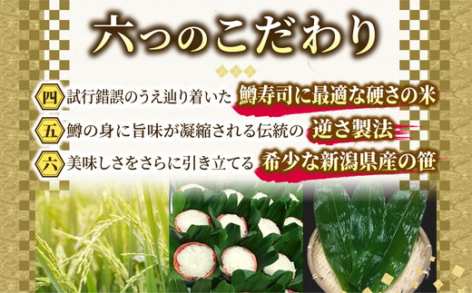 【6ヶ月定期便】【冷凍】魚卸問屋の「鱒寿司」（超厚切り）1段×1個 はりたや
