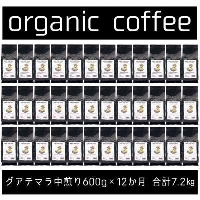 ふるさと納税 福岡市 【毎月定期便】ANDTHESOIL.焙煎オーガニックコーヒー豆GUA中煎り600g ME37全12回