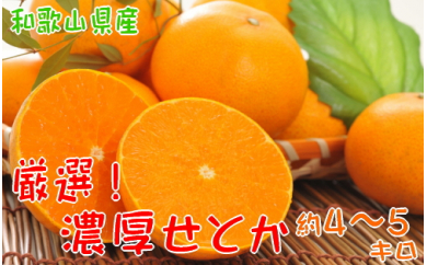 【高級】柑橘の王様　和歌山の濃厚せとか　約4～5kg※2025年2月下旬～3月上旬頃に順次発送予定※沖縄地域へのお届け不可