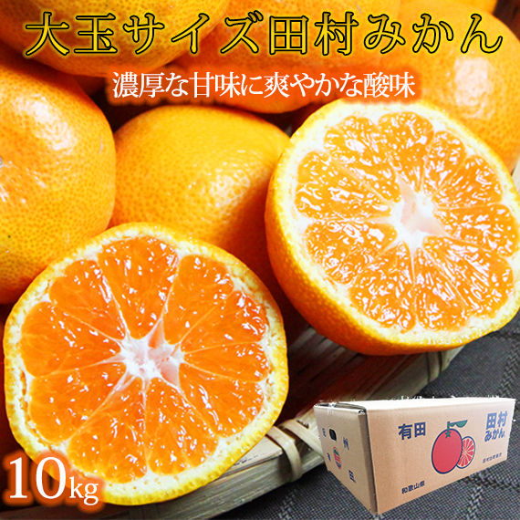 高級ブランド田村みかん　１０kg　大玉サイズ ※2024年11月下旬〜2025年1月下旬頃に順次発送予定