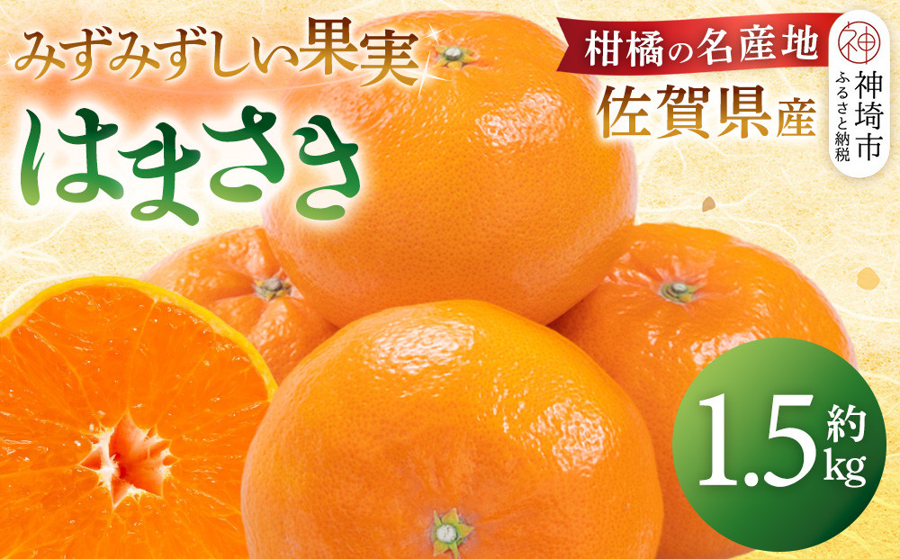 
            【先行受付 令和7年2月より発送】佐賀県産柑橘『はまさき』約1500g【果物 フルーツ 柑橘 みかん デザート ふるさと納税】(H108107)
          