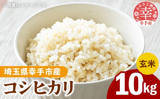 令和8年産 幸手市産 コシヒカリ 玄米10kg 色彩選別済 Brown Rice - お米 米 こしひかり 玄米 10kg 埼玉県 幸手市