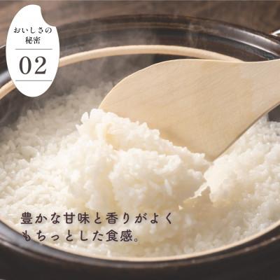 ふるさと納税 大町町 【先行予約】令和7年産 さがびより 5kg(大町町)【29kg-0001】 |  | 03