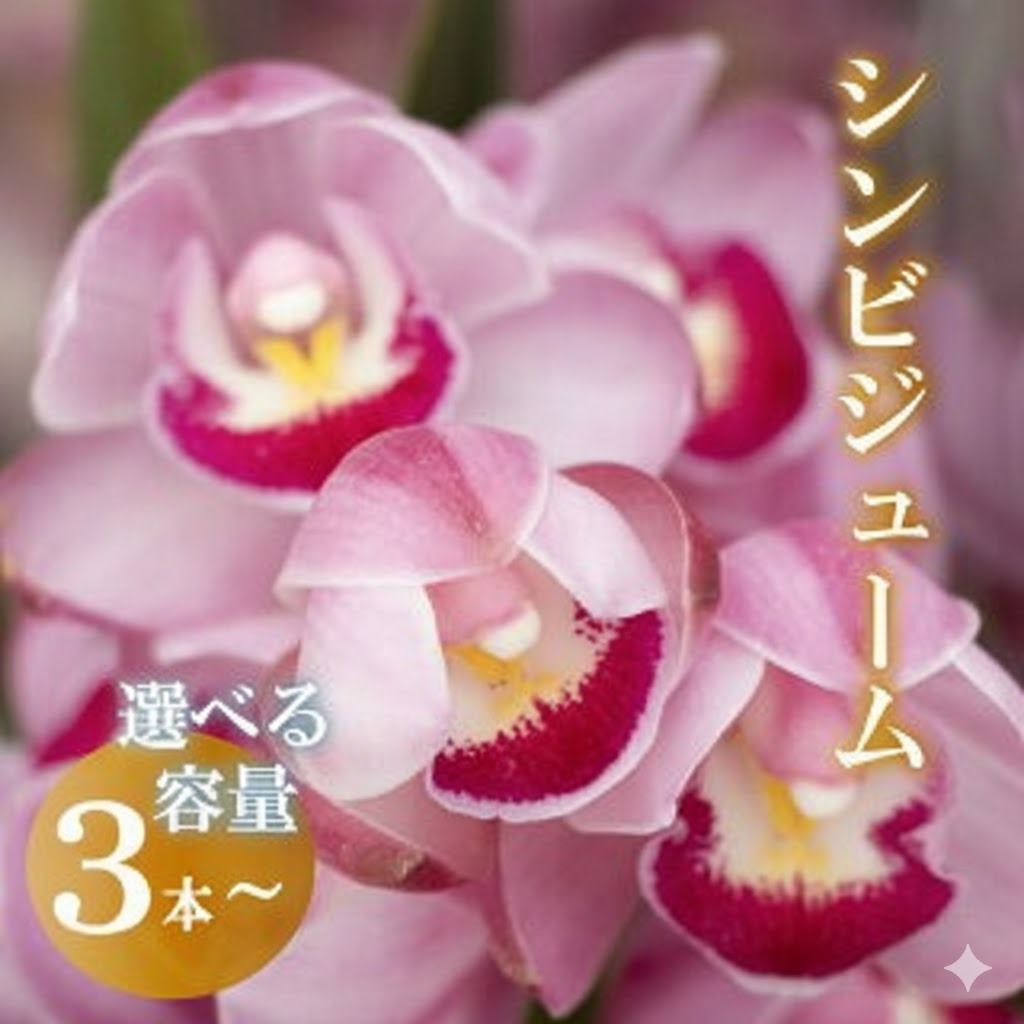 【ふるさと納税】 シンビジューム 花 2025年12月から発送 3~6本 お花 はな 切り花 フラワー 花束 フラワーアレンジメント インテリア 鑑賞 洋ラン 鉢 栽培 園芸 ガーデニング 花瓶 早期予約
