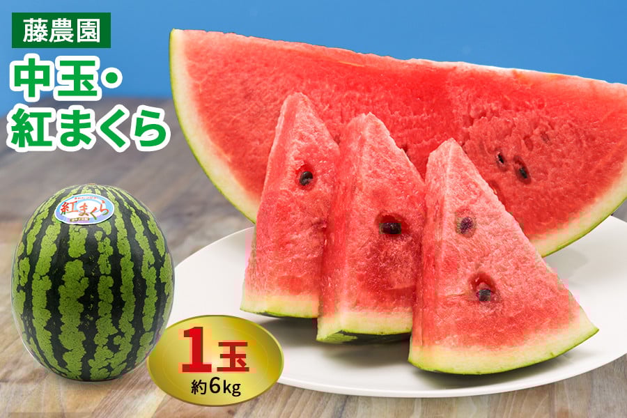 
                  スイカ (中玉) 紅まくら1玉｜つがる市産 青森産 産直 2026年産 令和8年 夏 すいか 西瓜 果物 フルーツ 旬 特産 藤農園 農福連携 先行受付 [0962]
                