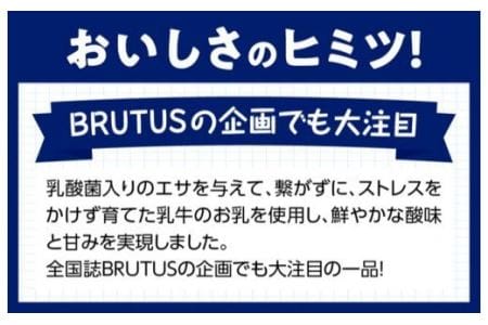 アイスヨーグルトセット 【 アリマン 菓子 デザート 詰め合わせ アイス ヨーグルト 】 