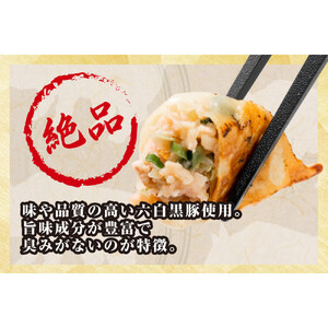【大阪名物】大阪ふくちぁん黒豚餃子 冷凍生餃子 180個 ［36個入×5セット］