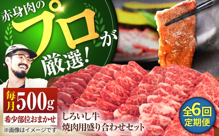 
                  【牧場直送】【6回定期便】佐賀県産しろいし牛 焼肉用 盛り合わせ セット（希少部位）各回500g 【佐賀セントラル牧場】佐賀県産 肉 お肉 牛肉 焼き肉 BBQ バーベキュー モモ カタ 肩 バラ 国産 焼肉 九州 佐賀県 白石町  白石 [IAH024]
                