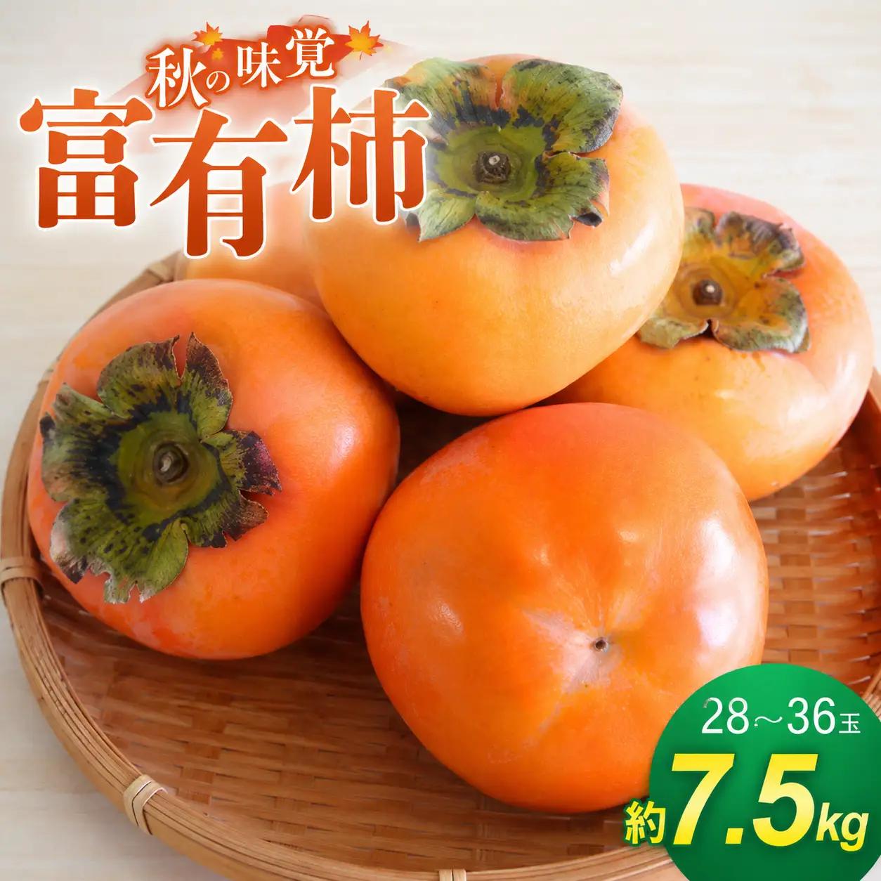 柿 富有柿 かつらぎの陽だまりが育てた富有柿約7.5ｋｇ【2026年11月上旬～12月上旬頃発送予定】【A-frks183】