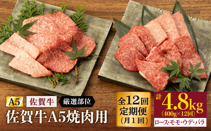 【12回定期便】 佐賀牛 A5 焼肉用 厳選部位 (ロース・モモ・ウデ・バラ) 400g (総計 4.8kg)【桑原畜産】 NAB031