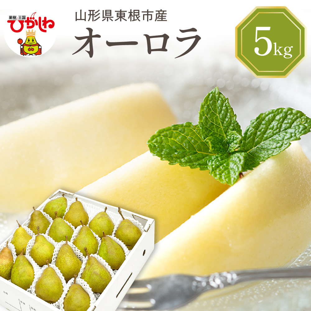 【2026年産】 西洋梨 オーロラ 5kg 秀品 化粧箱入り 山形県 東根市 東根農産センター提供 hi027-187-r8