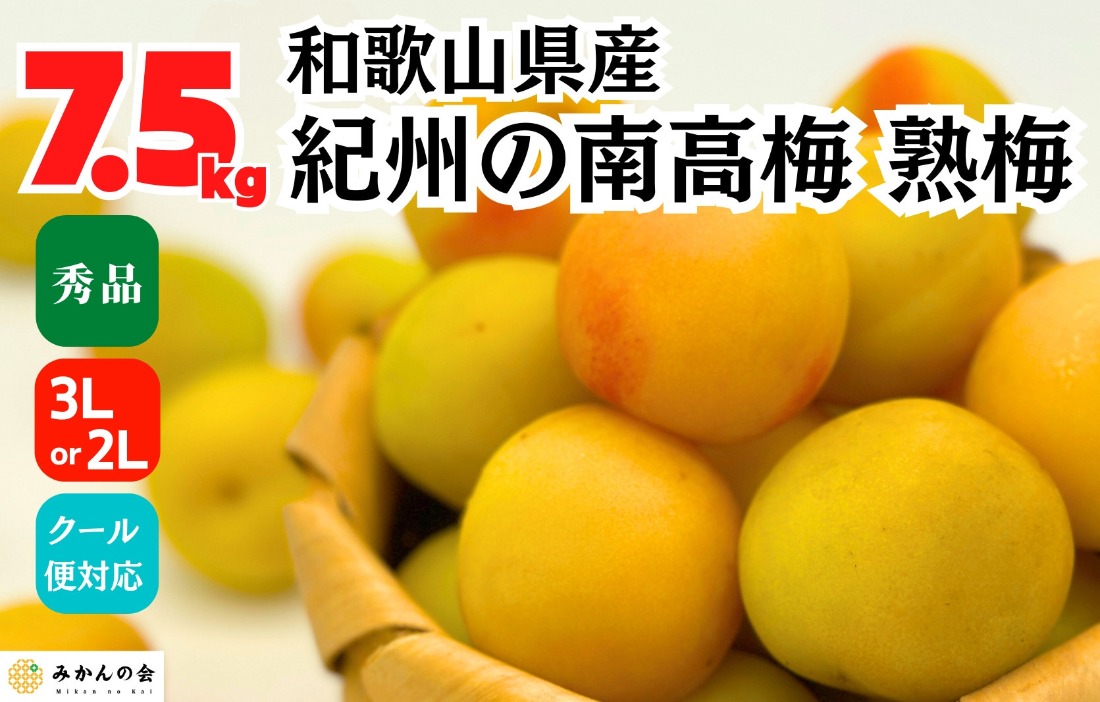 熟梅 南高梅 7.5kg 秀品 3Lまたは2Lサイズ 和歌山県産 A品 梅干し作り用 梅ジャム作り用  	AX404