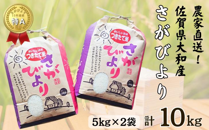 佐賀県大和産「さがびより」5kg×2袋 米 農家直送：B320-017