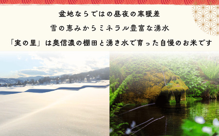 【令和6年産】 こしひかり 『奥信濃の棚田米 実の里』 5kg (6-59B)