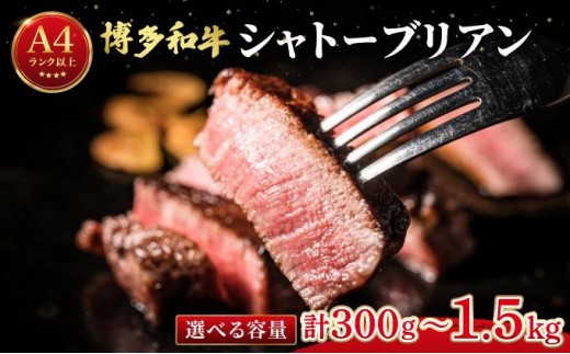 
                  寄附額改定↓ ＜選べる容量/回数＞希少部位！博多和牛 シャトーブリアン ステーキ 300g～（1枚：150g）【肉のくまもと屋】|ヒレステーキ ステーキ 赤身 ヒレ ヒレ肉 フィレ ヘレ 牛肉 黒毛和牛 国産 ブランド牛ブランド和牛 肉 和牛 希少部位 黒毛和牛 冷凍
                