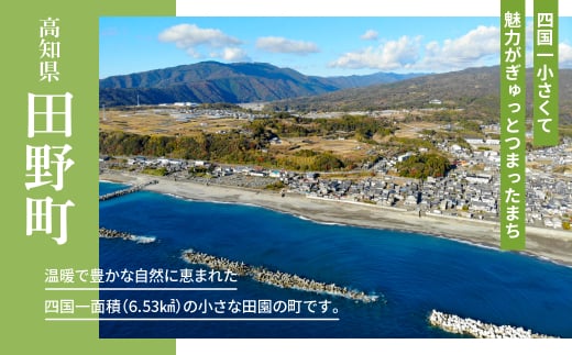 【四国一小さな町の喫茶店】茶房千福の手作り土佐ジロープリン