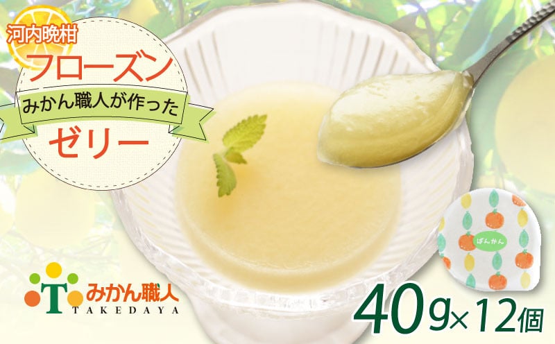 
                  【みかん職人が作った フローズン ゼリー 】 40g×1種 計12個 河内晩柑 みかん 人気 デザート スイーツ  シャーベット 愛南ゴールド 美生柑 柑橘 みかん職人武田屋 ふるさと納税 愛媛県 愛南町 お試し 5000円 アイス 氷菓子 おやつ お菓子 甘味 柑橘 愛南ゴールド お試し 試供品 少量 お手頃
                