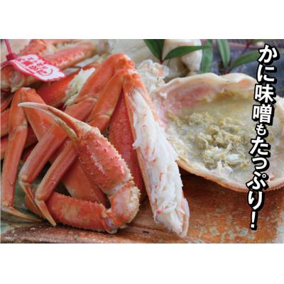 ふるさと納税 鳥取市 鳥取県産 訳あり茹で松葉がに【中村商店】 |  | 02
