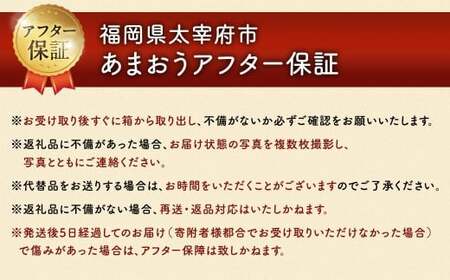 うるう農園のあまおう 4パック ＋ 1パック 合計5パック（約1425g） 訳あり あまおう （小粒・いびつ・大型） 【2026年3月上旬～4月上旬発送予定】 苺 いちご イチゴ 果物 フルーツ デザ