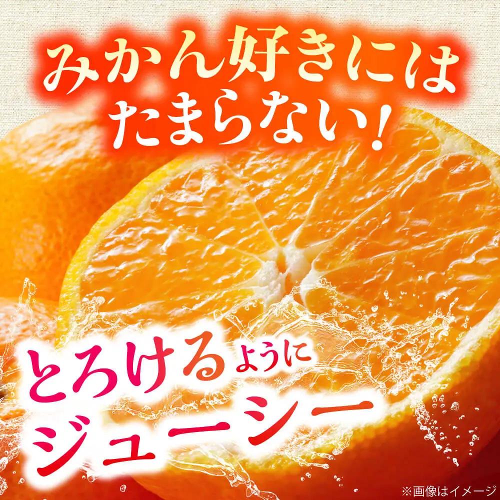 【先行予約】＜サイズおまかせ＞高知県産温州みかんA級品 約3kg ＜2026年11月上旬～2026年12月下旬頃発送＞/ みかん 柑橘 オレンジ 高知県 温州 【株式会社にしごみ】[ATEA010]